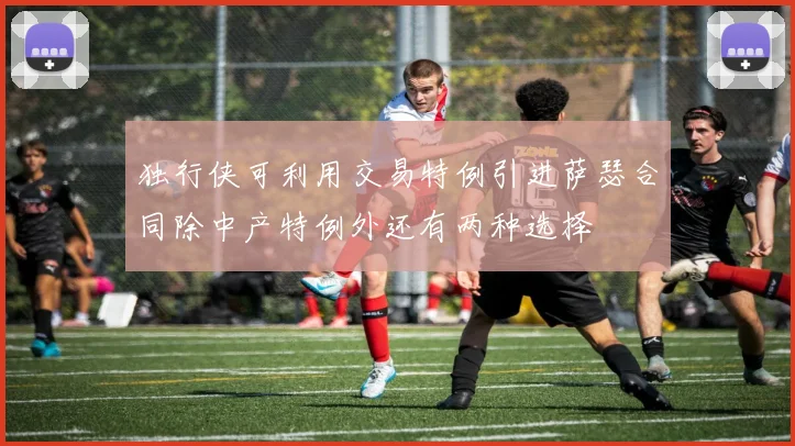 独行侠可利用交易特例引进萨瑟合同除中产特例外还有两种选择