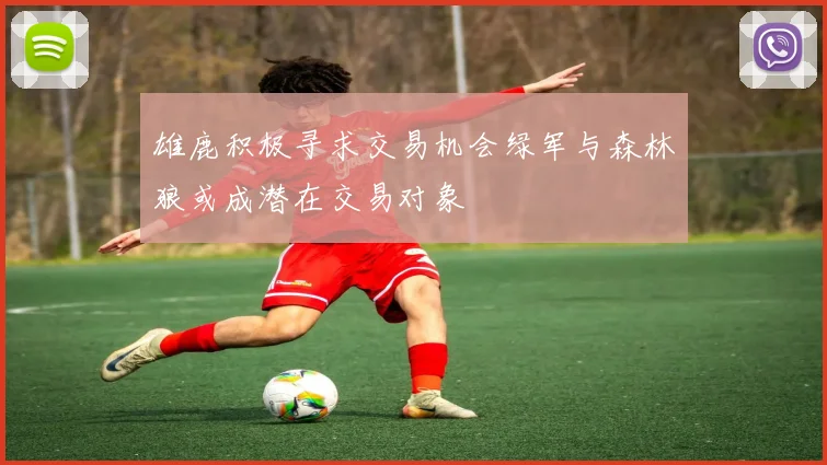雄鹿积极寻求交易机会绿军与森林狼或成潜在交易对象
